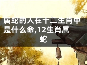 属蛇的人在十二生肖中是什么命,12生肖属蛇