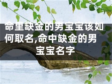 命里缺金的男宝宝该如何取名,命中缺金的男宝宝名字