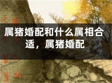 属猪婚配和什么属相合适，属猪婚配