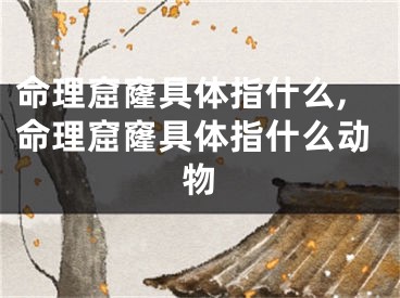 命理窟窿具体指什么,命理窟窿具体指什么动物