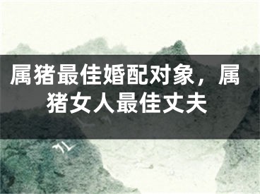 属猪最佳婚配对象，属猪女人最佳丈夫
