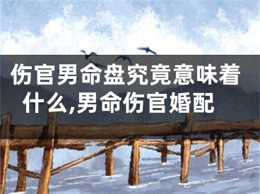 伤官男命盘究竟意味着什么,男命伤官婚配
