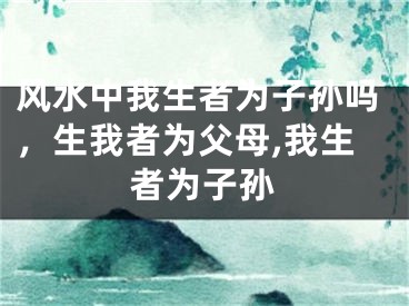 风水中我生者为子孙吗，生我者为父母,我生者为子孙