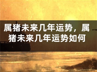 属猪未来几年运势，属猪未来几年运势如何