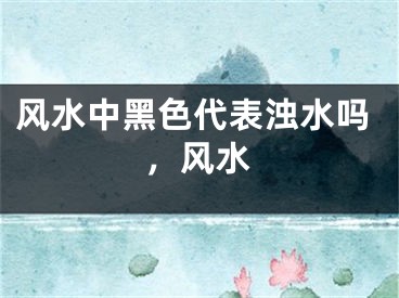 风水中黑色代表浊水吗,风水