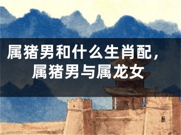 属猪男和什么生肖配，属猪男与属龙女