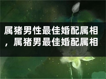 属猪男性最佳婚配属相，属猪男最佳婚配属相