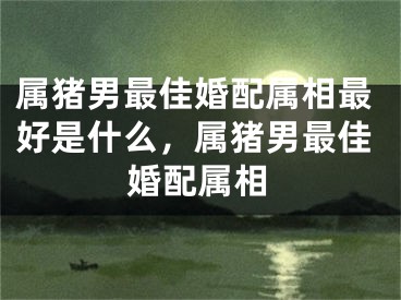 属猪男最佳婚配属相最好是什么，属猪男最佳婚配属相