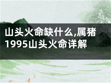 山头火命缺什么,属猪1995山头火命详解