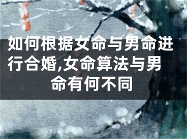 如何根据女命与男命进行合婚,女命算法与男命有何不同