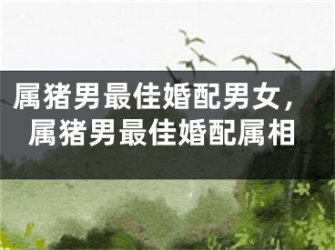 属猪男最佳婚配男女，属猪男最佳婚配属相