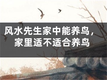 风水先生家中能养鸟，家里适不适合养鸟