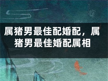属猪男最佳配婚配，属猪男最佳婚配属相
