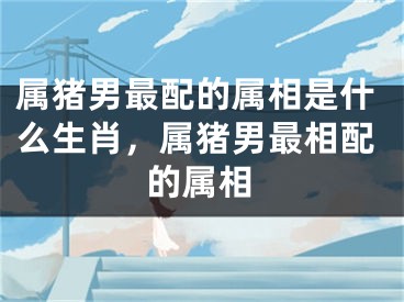 属猪男最配的属相是什么生肖,属猪男最相配的属相