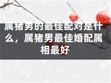 属猪男的最佳配对是什么，属猪男最佳婚配属相最好
