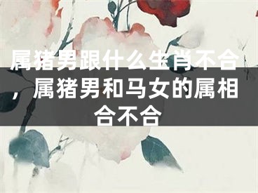属猪男跟什么生肖不合，属猪男和马女的属相合不合