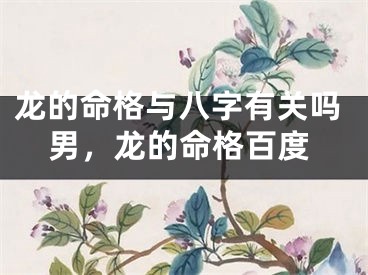 龙的命格与八字有关吗男，龙的命格百度