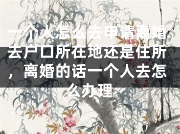 一个人怎么去申请离婚去户口所在地还是住所，离婚的话一个人去怎么办理