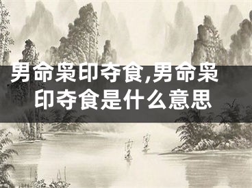 男命枭印夺食,男命枭印夺食是什么意思