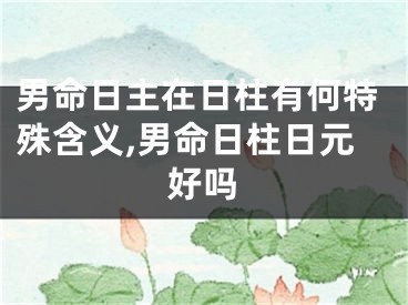 男命日主在日柱有何特殊含义,男命日柱日元好吗