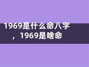 1969是什么命八字，1969是啥命