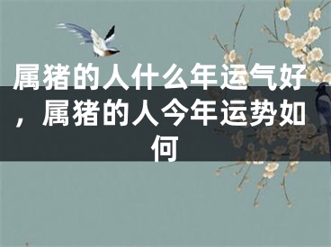 属猪的人什么年运气好,属猪的人今年运势如何