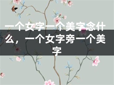 一个女字一个美字念什么，一个女字旁一个美字