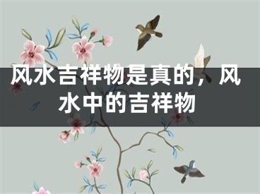 风水吉祥物是真的，风水中的吉祥物