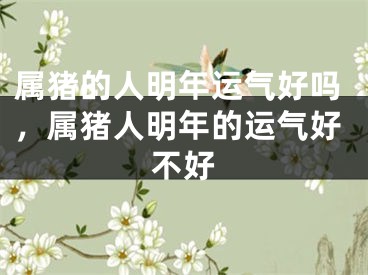 属猪的人明年运气好吗，属猪人明年的运气好不好
