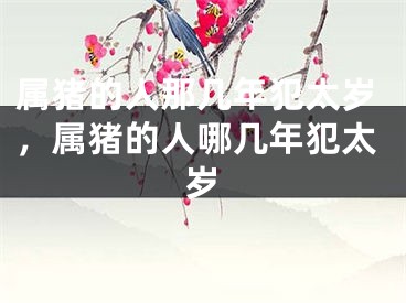 属猪的人那几年犯太岁，属猪的人哪几年犯太岁
