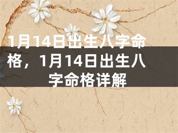 1月14日出生八字命格,1月14日出生八字命格详解