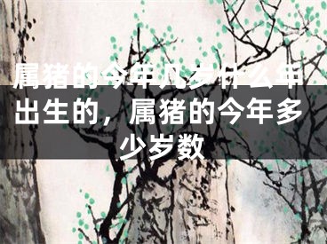 属猪的今年几岁什么年出生的,属猪的今年多少岁数