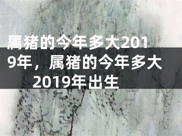 属猪的今年多大2019年,属猪的今年多大2019年出生