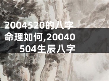 2004520的八字命理如何,20040504生辰八字