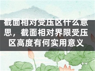 截面相对受压区什么意思，截面相对界限受压区高度有何实用意义