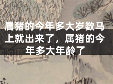 属猪的今年多大岁数马上就出来了,属猪的今年多大年龄了
