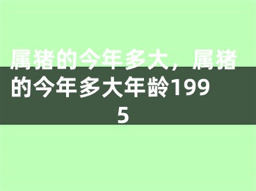 属猪的今年多大，属猪的今年多大年龄1995