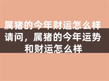 属猪的今年财运怎么样请问，属猪的今年运势和财运怎么样