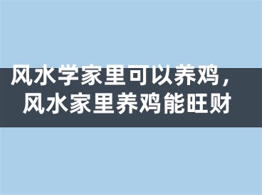 风水学家里可以养鸡，风水家里养鸡能旺财