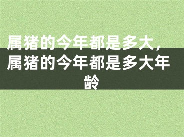 属猪的今年都是多大，属猪的今年都是多大年龄
