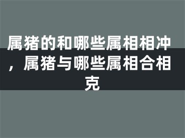 属猪的和哪些属相相冲，属猪与哪些属相合相克