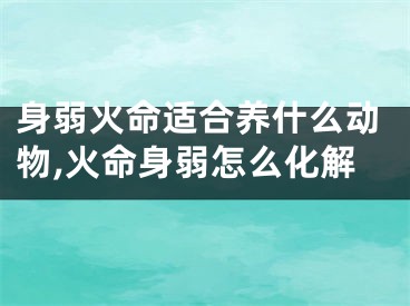 身弱火命适合养什么动物,火命身弱怎么化解