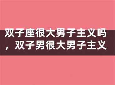 双子座很大男子主义吗,双子男很大男子主义