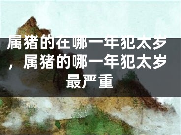 属猪的在哪一年犯太岁，属猪的哪一年犯太岁最严重
