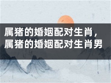 属猪的婚姻配对生肖，属猪的婚姻配对生肖男