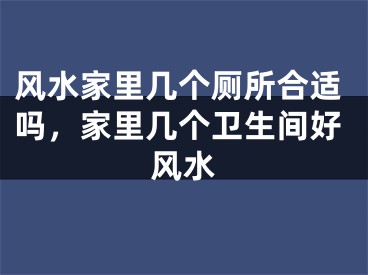 风水家里几个厕所合适吗,家里几个卫生间好风水