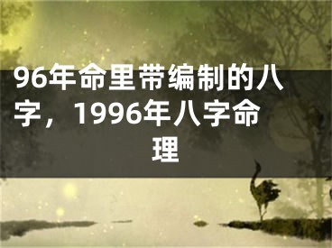 96年命里带编制的八字，1996年八字命理