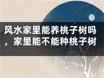 风水家里能养桃子树吗，家里能不能种桃子树