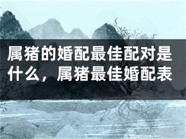 属猪的婚配最佳配对是什么，属猪最佳婚配表