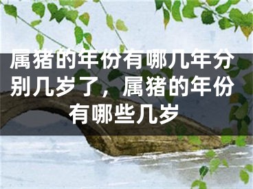 属猪的年份有哪几年分别几岁了，属猪的年份有哪些几岁